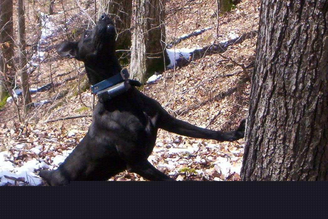 100_9774.jpg